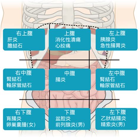 胃陣痛|胃痛原因有哪些？自我檢視3重點？何時需就醫？